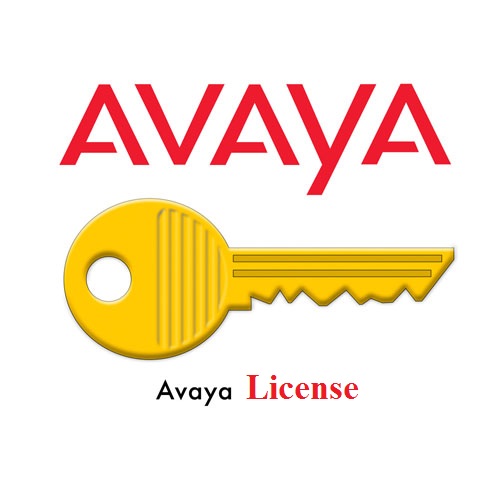 Avaya license cho tổng đài IP OFFICE R10 AVAYA IP ENDPOINT 1 license