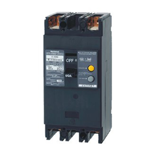 Aptomat ELCB 2P 60A 25kA 30mA Panasonic BKW2603SKY