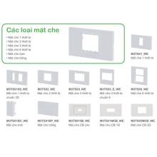 Mặt nạ 2 thiết bị Schneider A8401L_WE_G19
